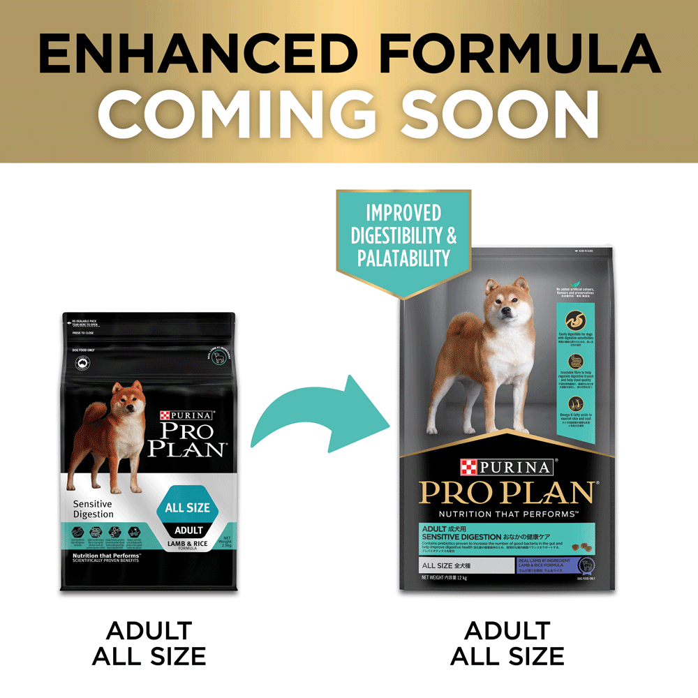 Sensitive Digestion Lamb Adult Dry Dog Food