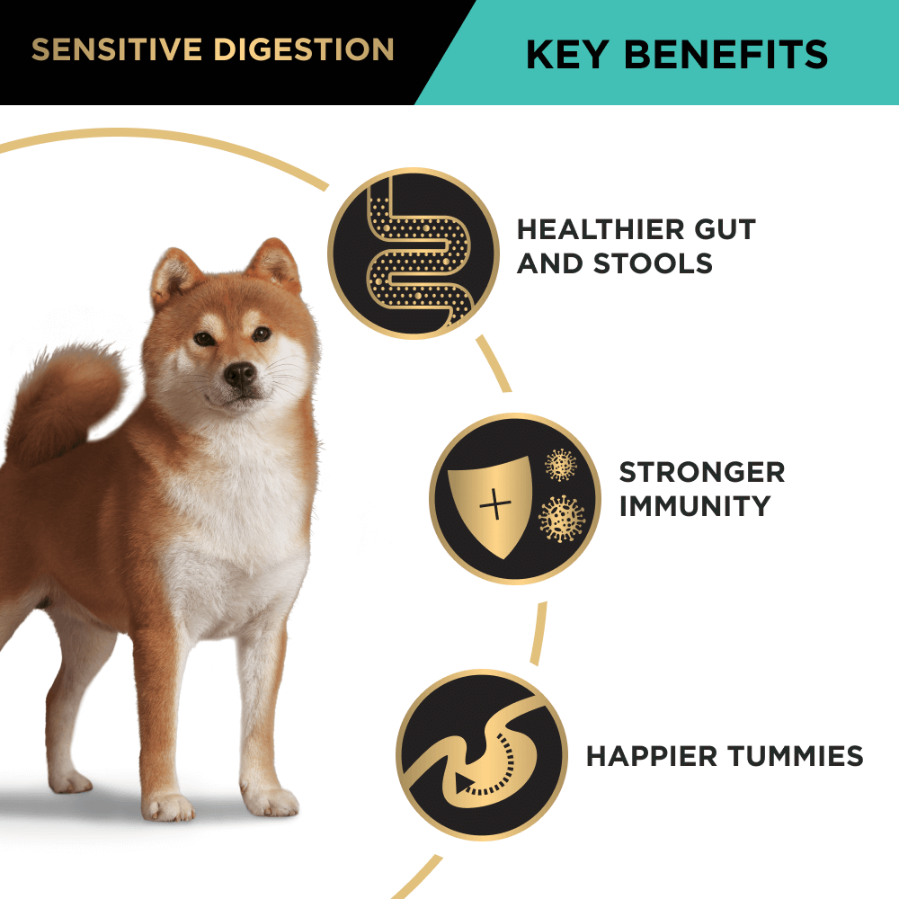 Sensitive Digestion Lamb Adult Dry Dog Food