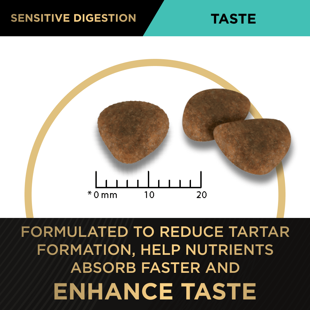 Sensitive Digestion Lamb Adult Dry Dog Food