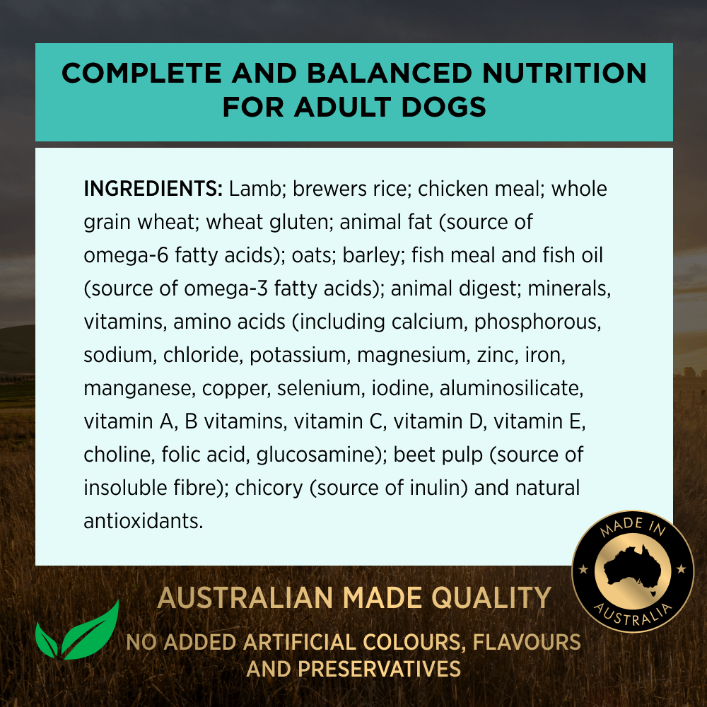Sensitive Digestion Lamb Adult Dry Dog Food