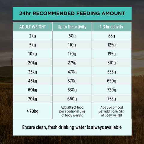 Sensitive Digestion Lamb Adult Dry Dog Food