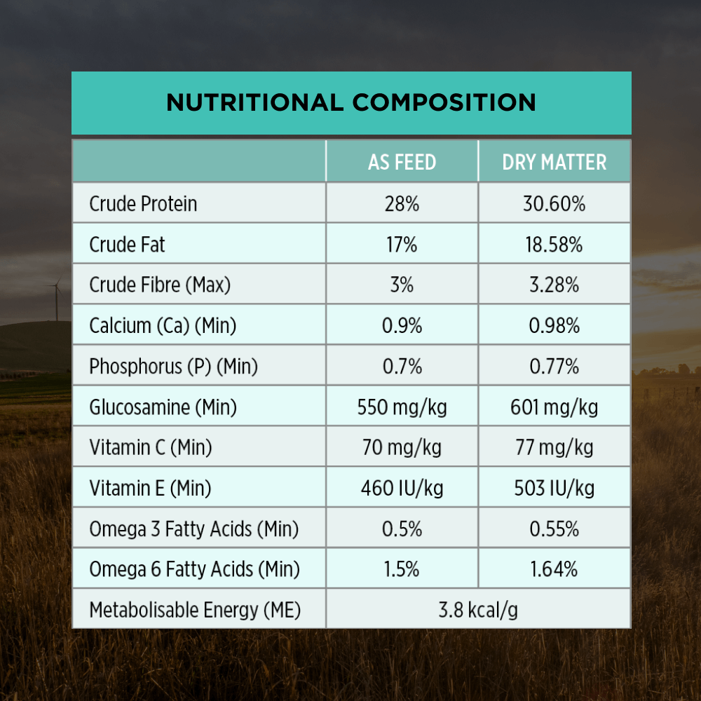 Sensitive Digestion Lamb Adult Dry Dog Food