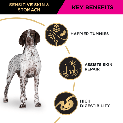 Sensitive Skin & Stomach Medium Large Breed Adult Dry Dog Food
