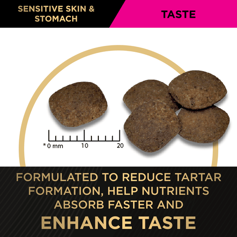 Sensitive Skin & Stomach Medium Large Breed Adult Dry Dog Food