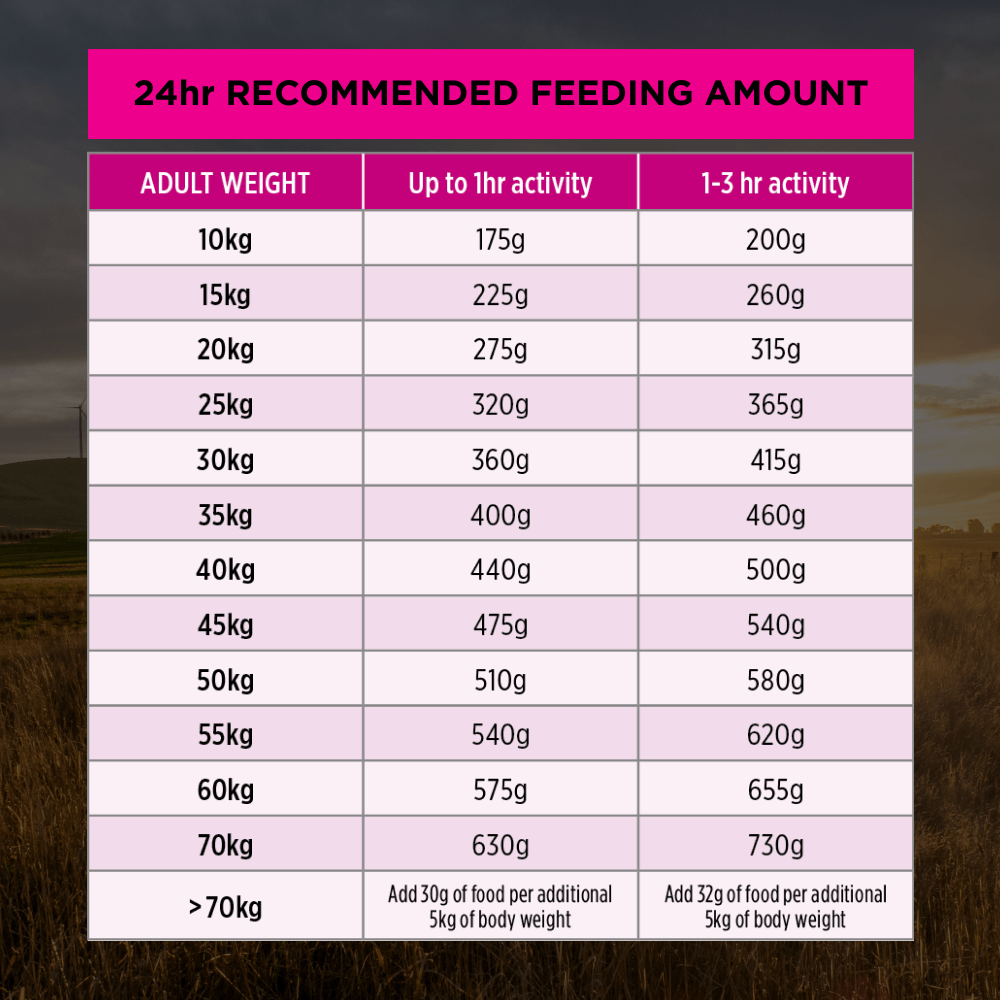 Sensitive Skin & Stomach Medium Large Breed Adult Dry Dog Food