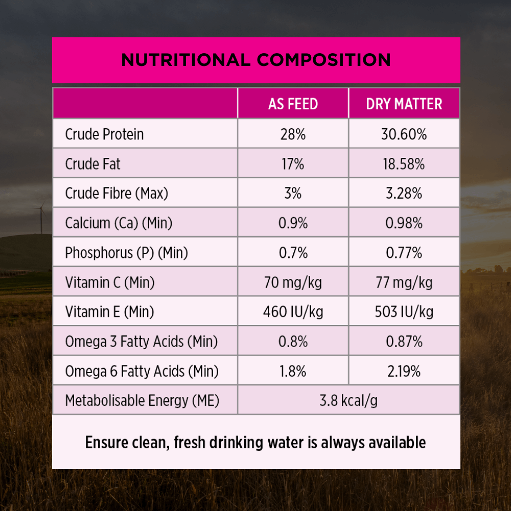 Sensitive Skin & Stomach Medium Large Breed Adult Dry Dog Food