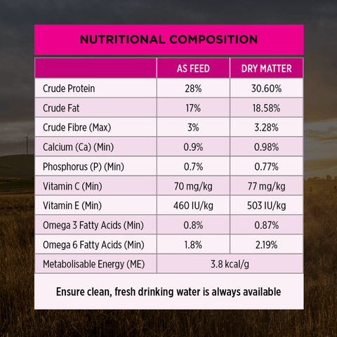 Sensitive Skin & Stomach Medium Large Breed Adult Dry Dog Food