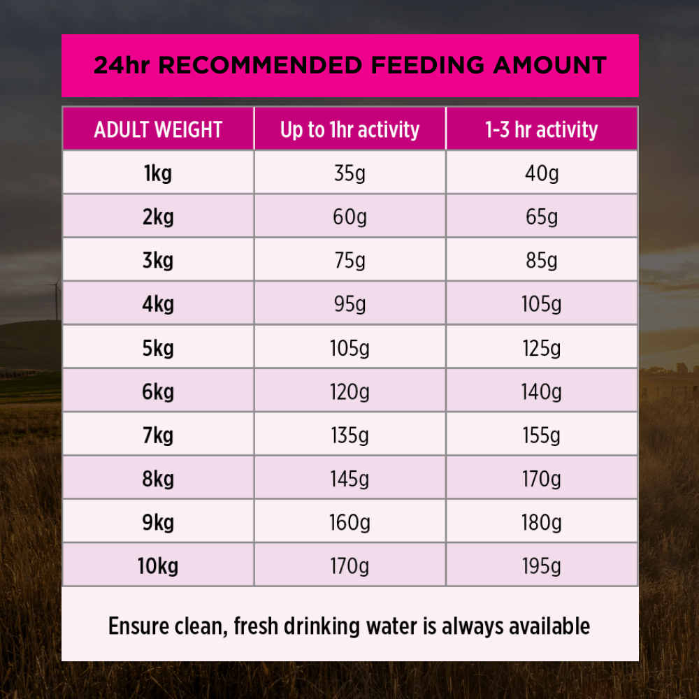 Sensitive Skin & Stomach Small Toy Breed Adult Dry Dog Food