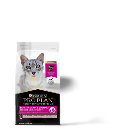 Adult Sensitive Skin Stomach Dry Cat Food