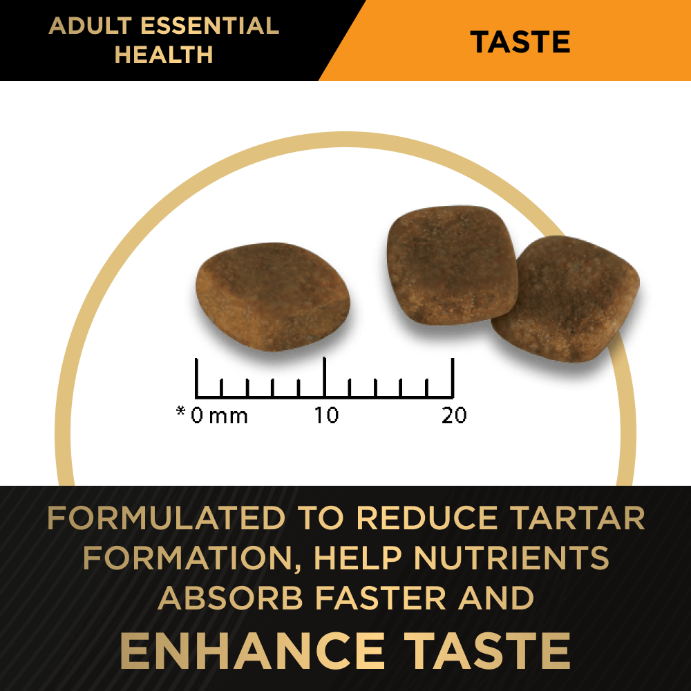 Essential Health Small & Toy Breed Adult Dry Dog Food