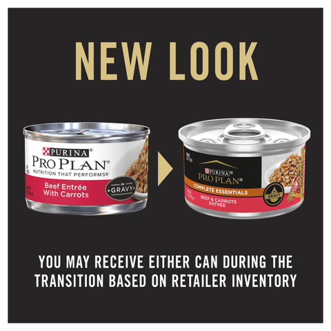 Cat Beef Entree Cans