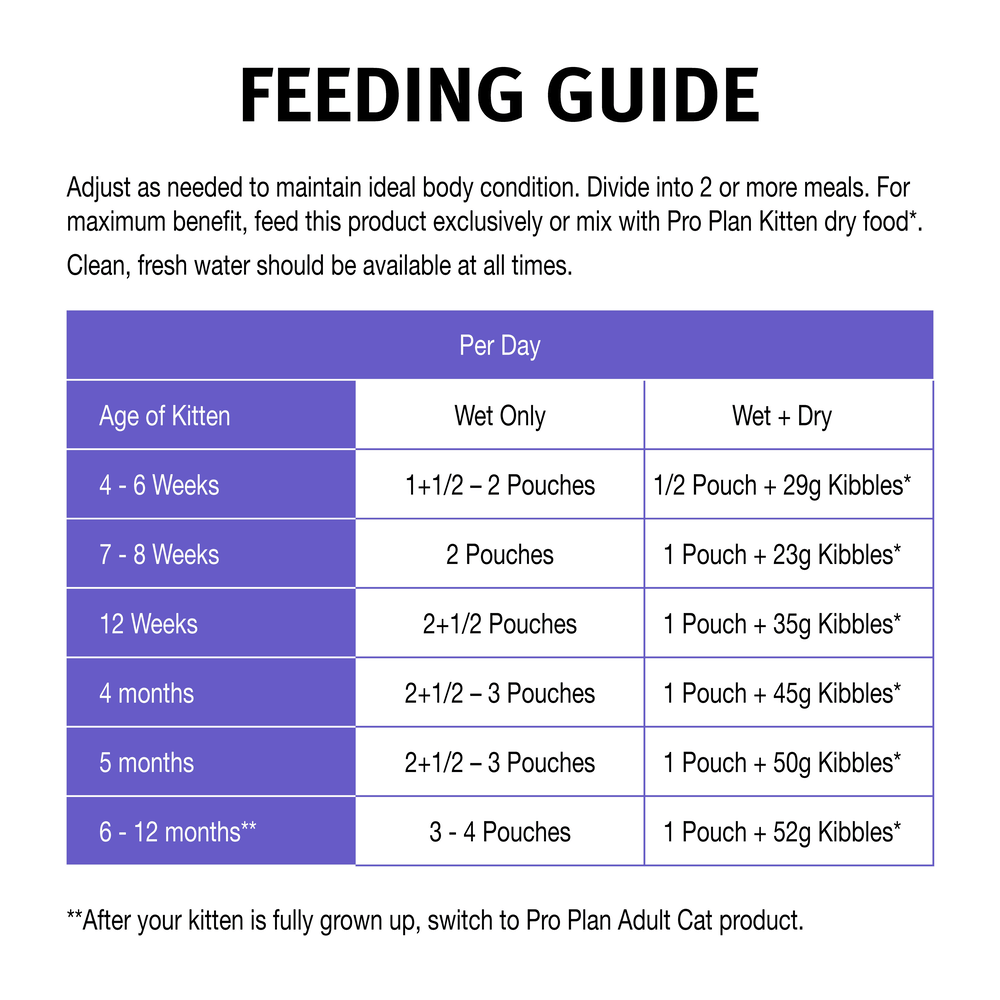 Kitten Chicken Jelly Wet Cat Food Pouches