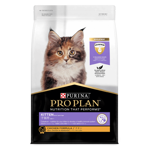 Kitten Dry Cat Food