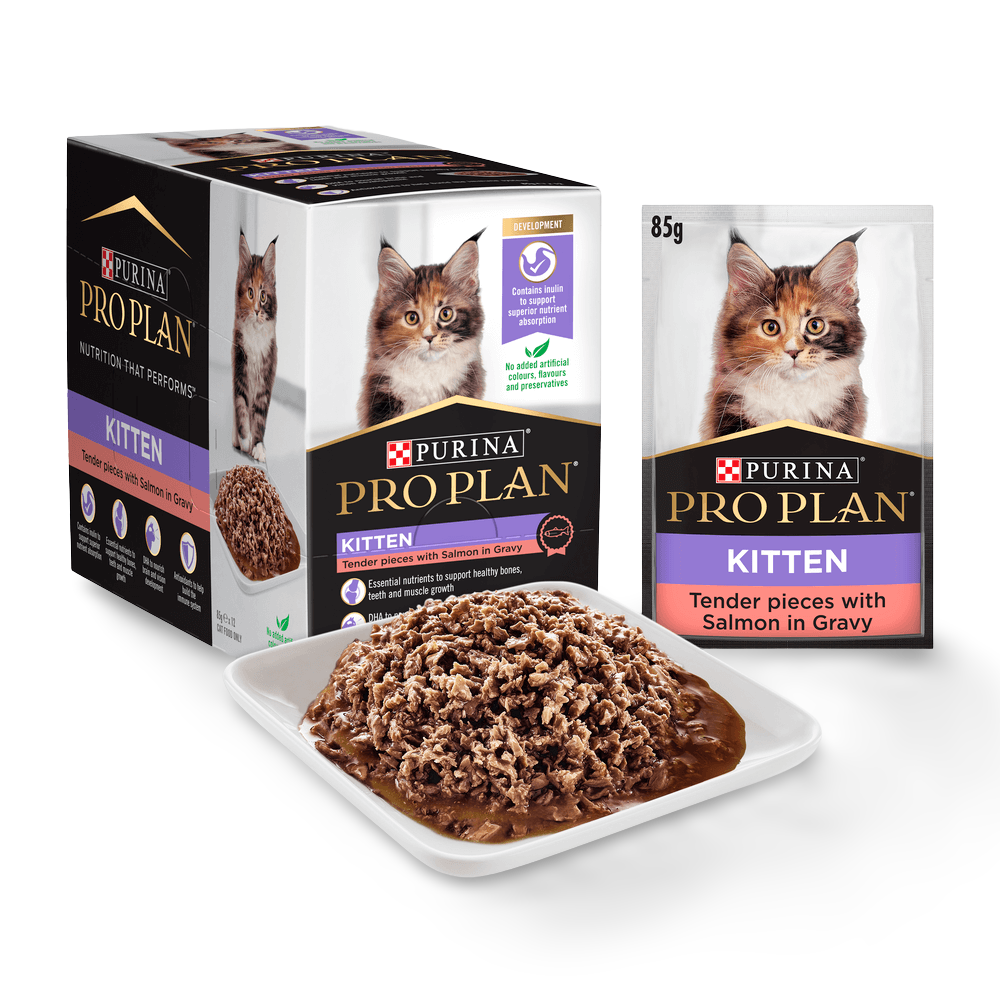 Kitten Salmon Gravy Wet Cat Food Pouches