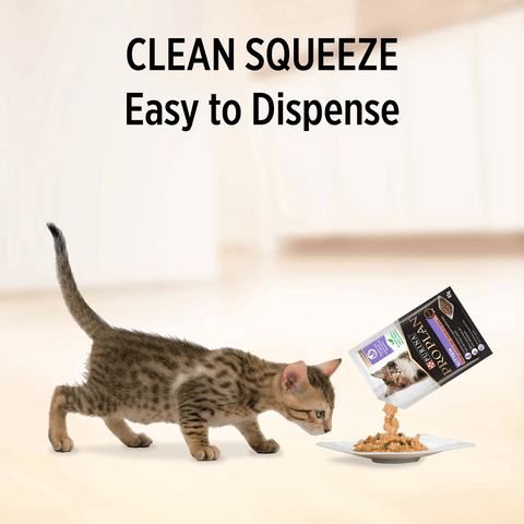 Kitten Salmon Gravy Wet Cat Food Pouches