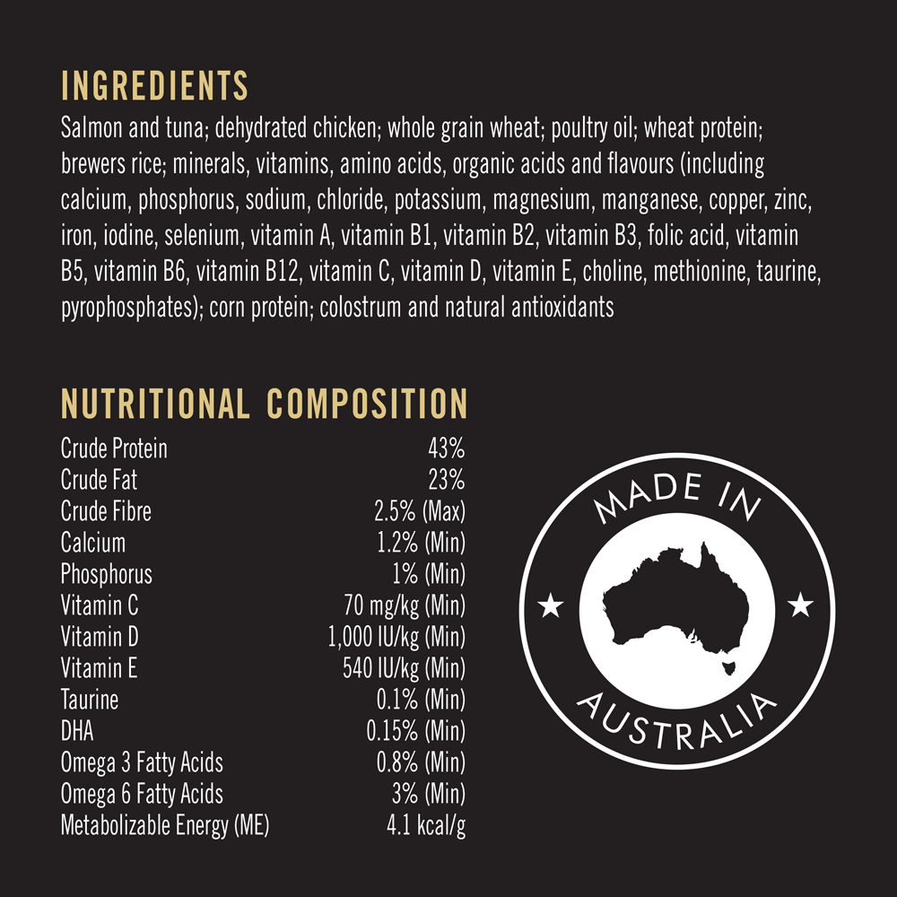 Kitten Starter Dry Cat Food