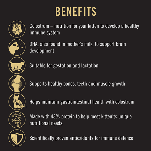 Kitten Starter Dry Cat Food