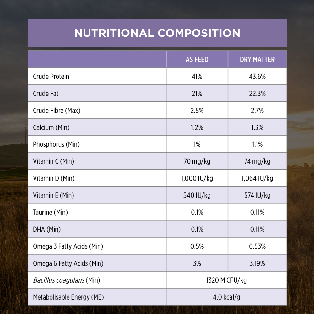 Live Clear Kitten Dry Cat Food