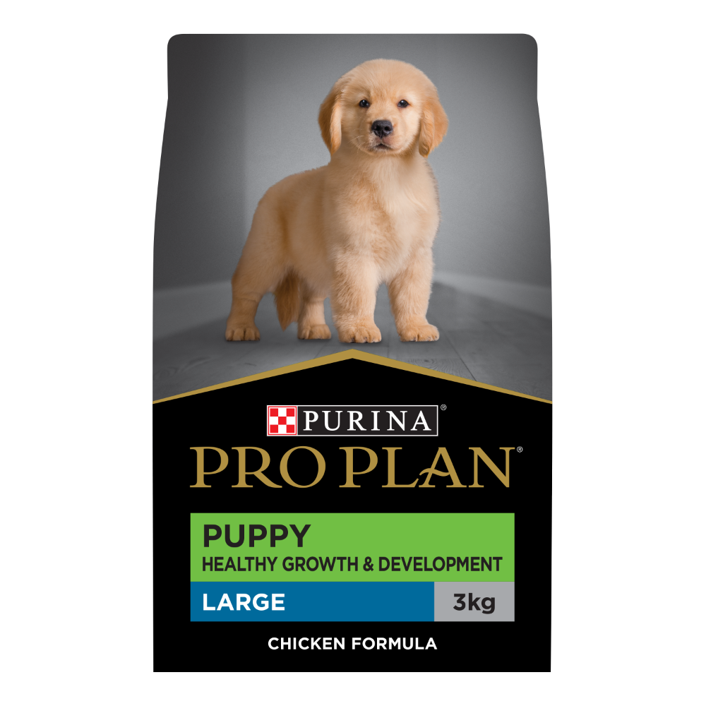 Chicken Large Breed Puppy Dry Dog Food