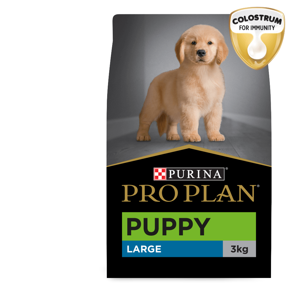 Chicken Large Breed Puppy Dry Dog Food