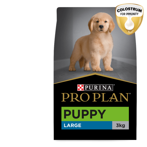 Chicken Large Breed Puppy Dry Dog Food