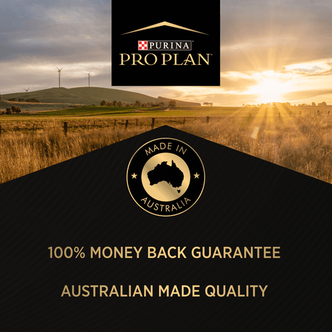 Chicken Large Breed Puppy Dry Dog Food