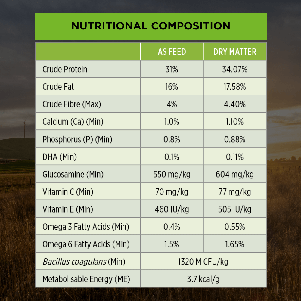 Chicken Large Breed Puppy Dry Dog Food