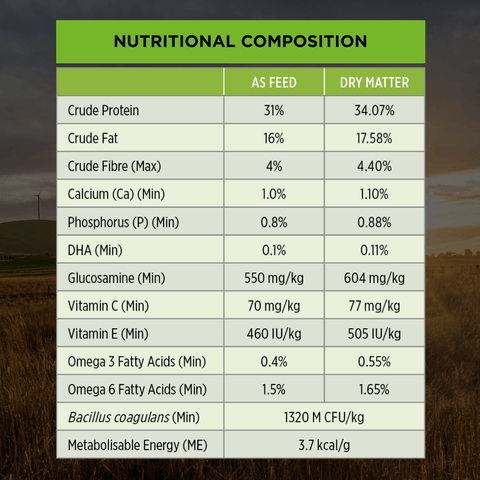 Chicken Large Breed Puppy Dry Dog Food