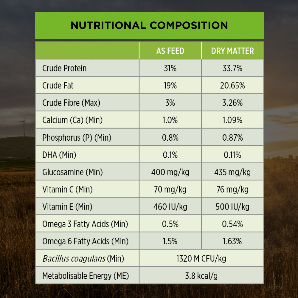 Chicken Medium Breed Puppy Dry Dog Food