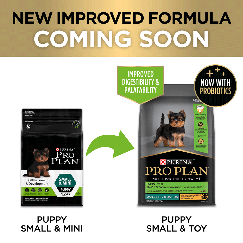 Healthy Growth And Development Puppy Dry Dog Food