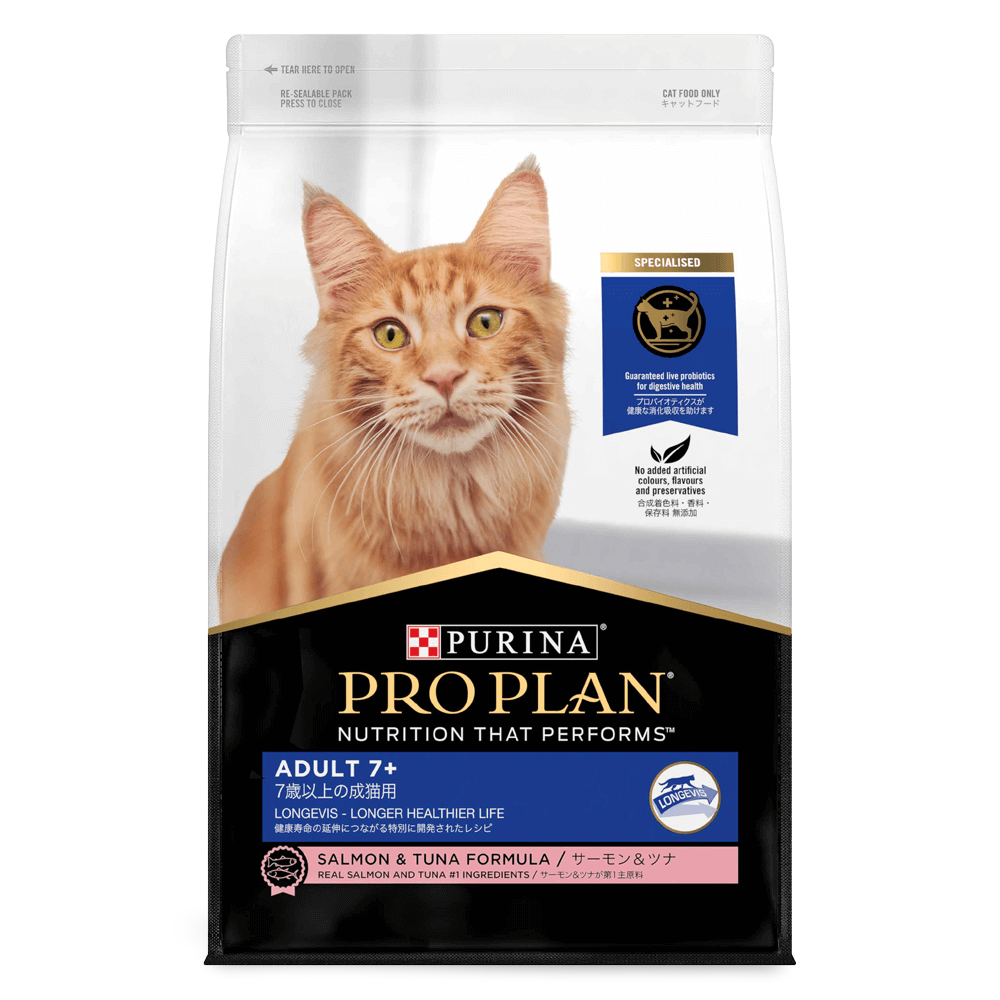 Senior 7 Plus Dry Cat Food