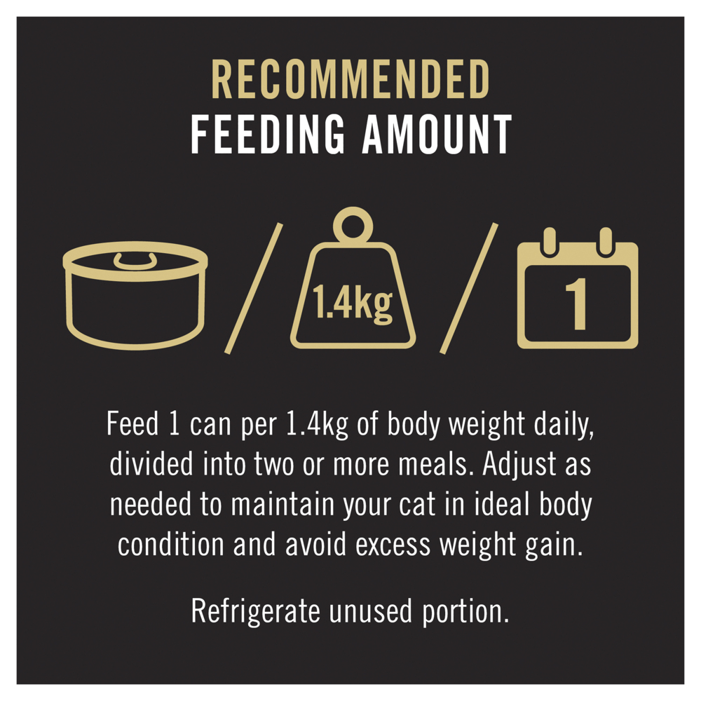 Wet Cat Food Adult Chicken Rice In Gravy