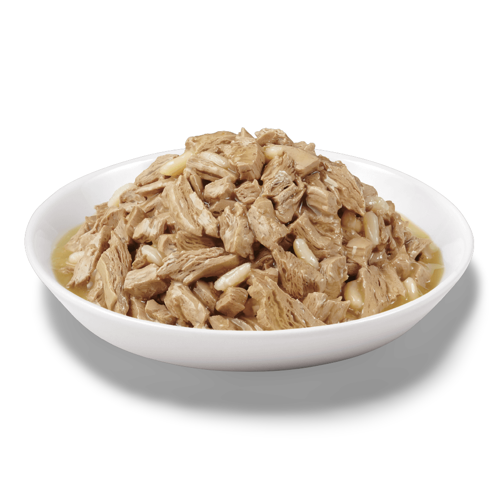 Wet Cat Food Adult Chicken Rice In Gravy