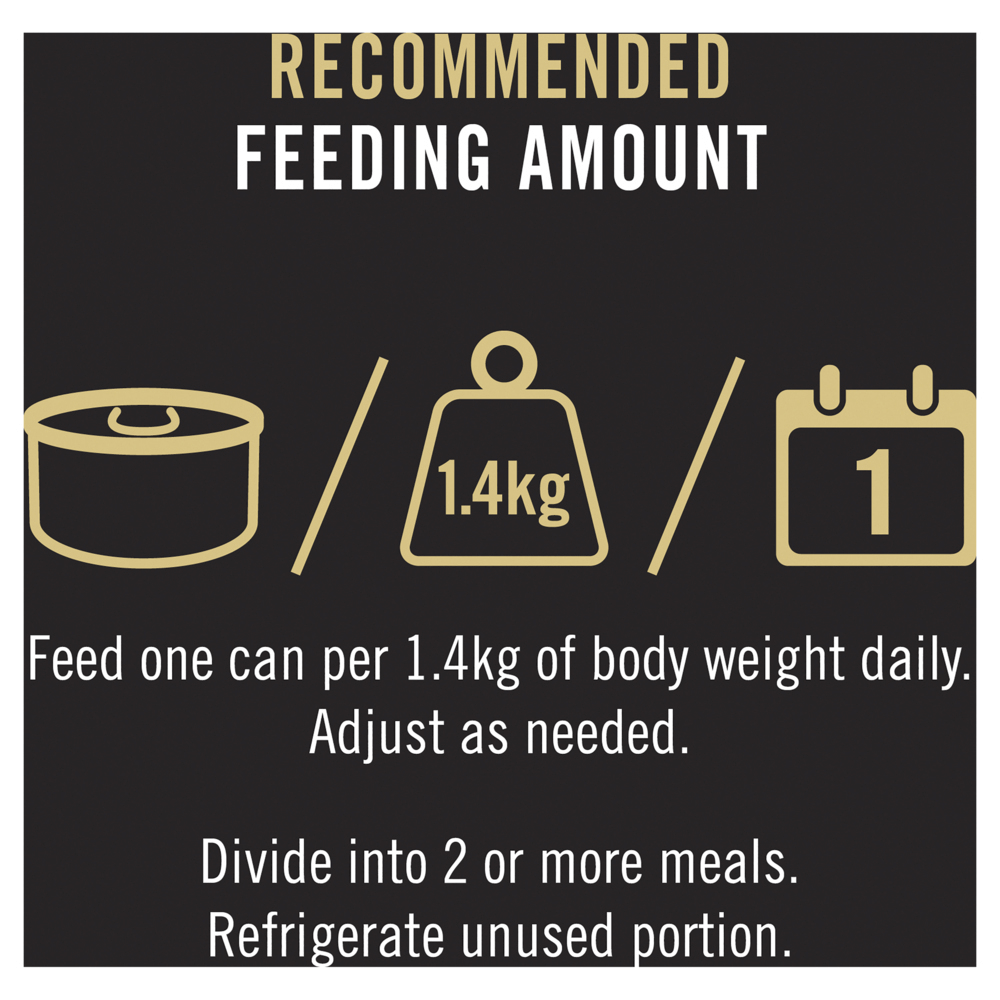 Wet Cat Food Senior 11 Plus Salmon Tuna