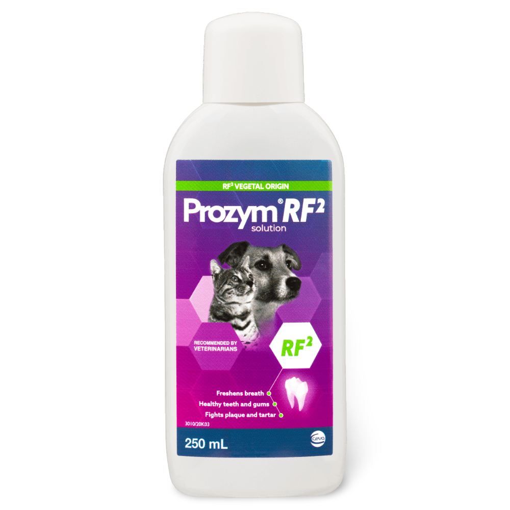 Rf2 Dental Solution