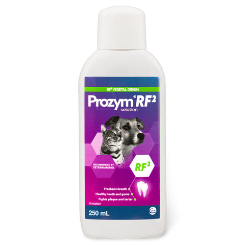 Rf2 Dental Solution