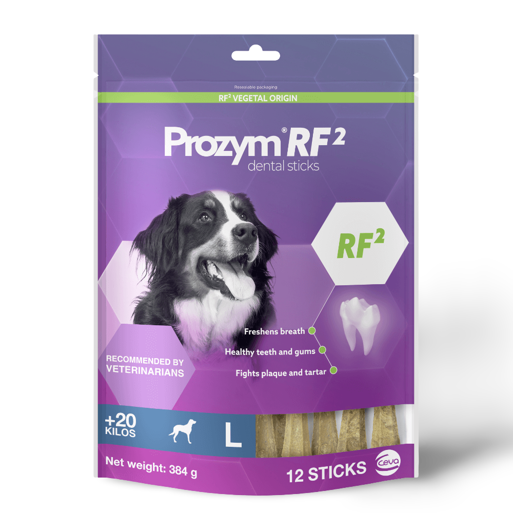 Rf2 Large Dog Dental Sticks