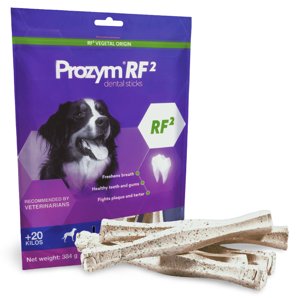 Rf2 Large Dog Dental Sticks