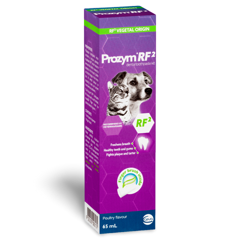 Rf2 Toothpaste Kit
