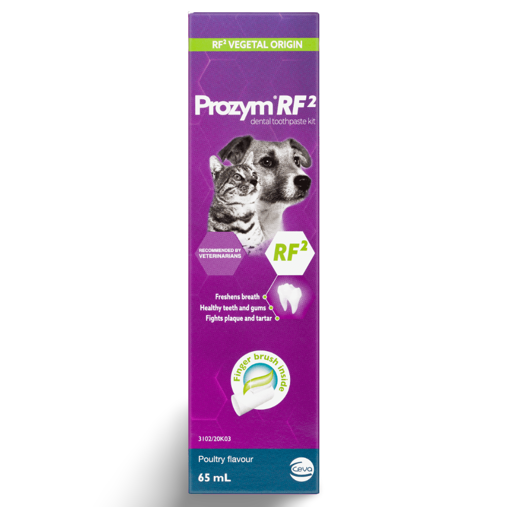 Rf2 Toothpaste Kit