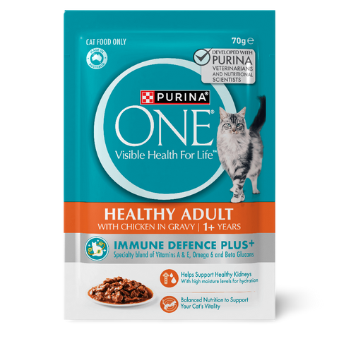 Adult Chicken In Gravy Wet Cat Food Pouches