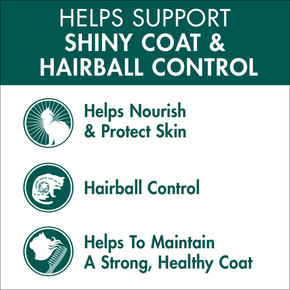 Adult Coat And Hairball Chicken Dry Cat Food