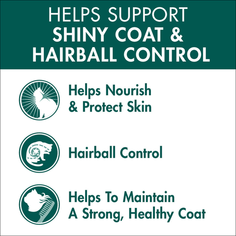 Adult Coat And Hairball Chicken Dry Cat Food