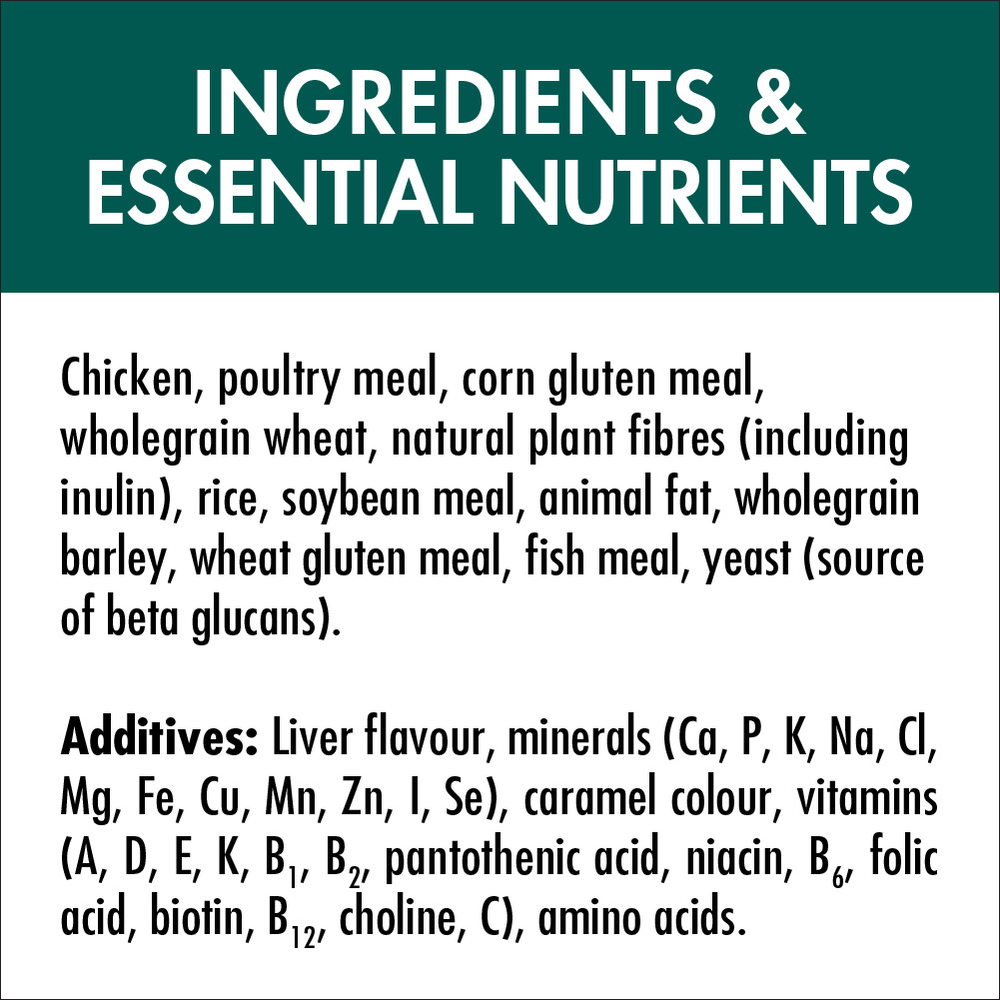 Adult Coat And Hairball Chicken Dry Cat Food