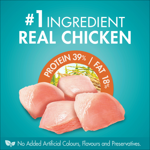 Adult Healthy Weight Chicken Dry Cat Food