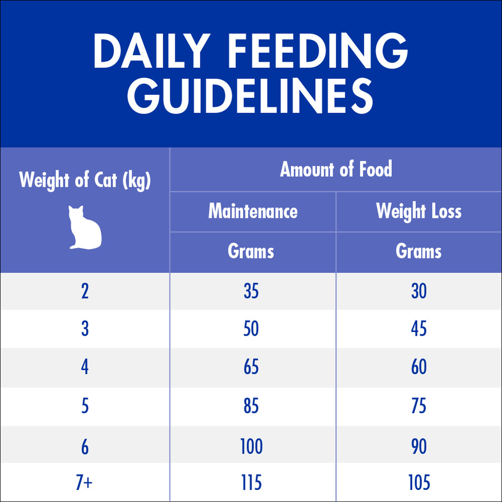 Adult Healthy Weight Chicken Dry Cat Food