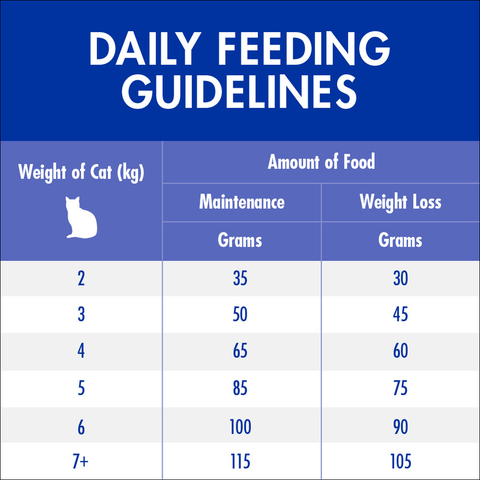 Adult Healthy Weight Chicken Dry Cat Food