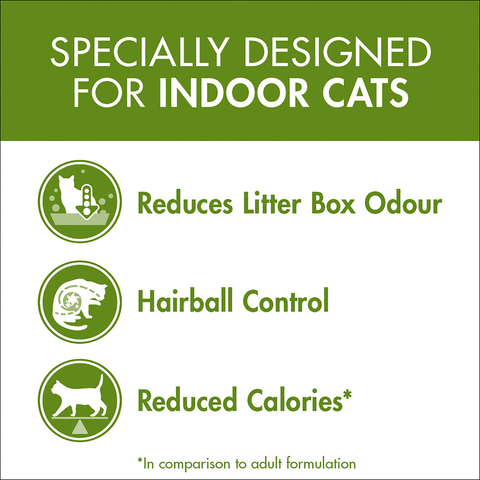 Adult Indoor Chicken Dry Cat Food