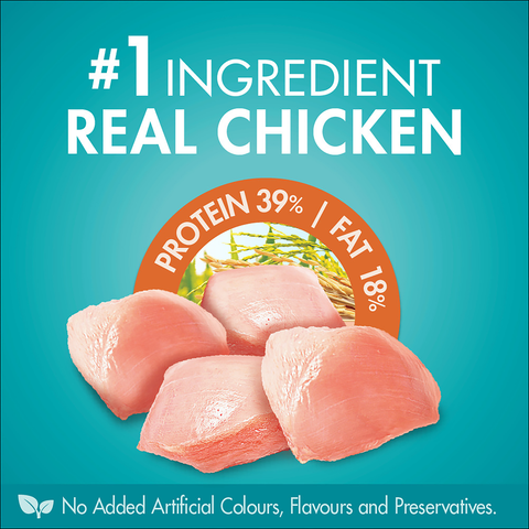 Adult Indoor Chicken Dry Cat Food