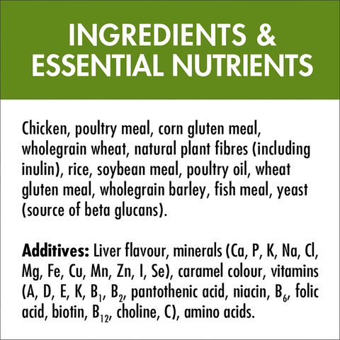 Adult Indoor Chicken Dry Cat Food